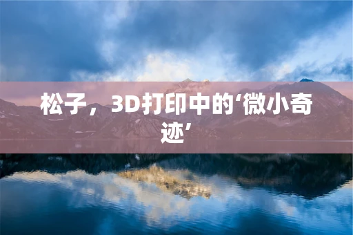 松子，3D打印中的‘微小奇迹’