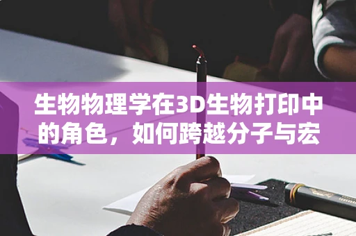 生物物理学在3D生物打印中的角色，如何跨越分子与宏观世界的桥梁？