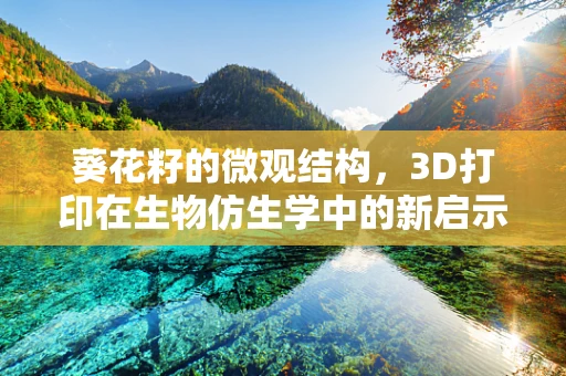 葵花籽的微观结构，3D打印在生物仿生学中的新启示？
