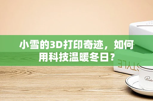小雪的3D打印奇迹，如何用科技温暖冬日？
