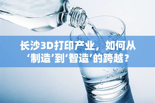 长沙3D打印产业，如何从‘制造’到‘智造’的跨越？