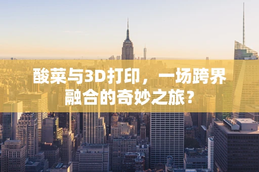 酸菜与3D打印，一场跨界融合的奇妙之旅？