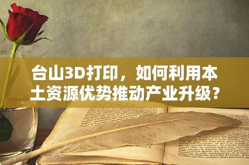 台山3D打印，如何利用本土资源优势推动产业升级？