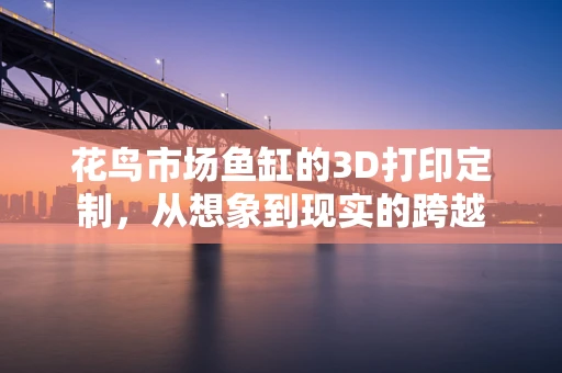 花鸟市场鱼缸的3D打印定制，从想象到现实的跨越