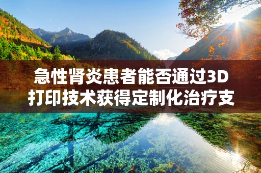 急性肾炎患者能否通过3D打印技术获得定制化治疗支持？