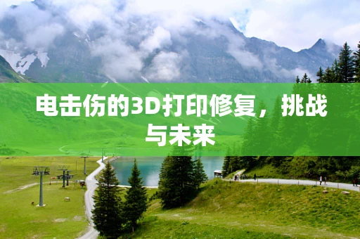 电击伤的3D打印修复，挑战与未来