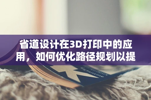 省道设计在3D打印中的应用，如何优化路径规划以提升效率？