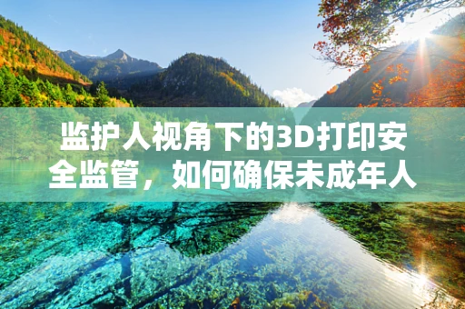 监护人视角下的3D打印安全监管，如何确保未成年人的安全使用？