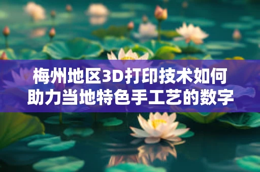 梅州地区3D打印技术如何助力当地特色手工艺的数字化传承？