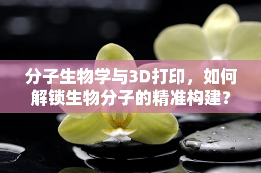 分子生物学与3D打印，如何解锁生物分子的精准构建？