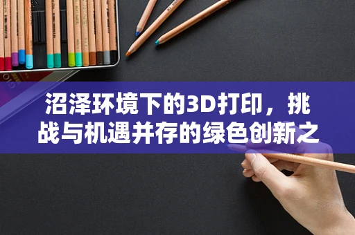 沼泽环境下的3D打印，挑战与机遇并存的绿色创新之路？