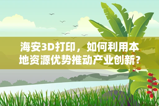 海安3D打印，如何利用本地资源优势推动产业创新？