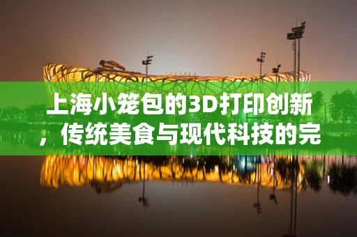 上海小笼包的3D打印创新，传统美食与现代科技的完美融合？