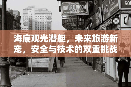 海底观光潜艇，未来旅游新宠，安全与技术的双重挑战？