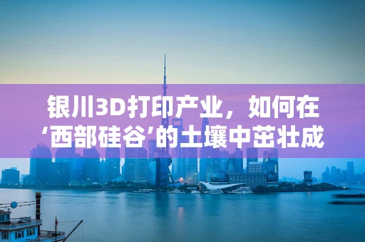 银川3D打印产业，如何在‘西部硅谷’的土壤中茁壮成长？
