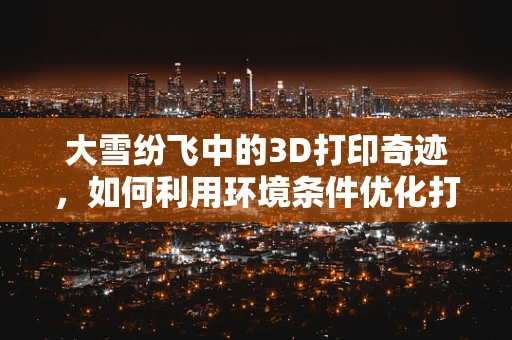 大雪纷飞中的3D打印奇迹，如何利用环境条件优化打印效果？