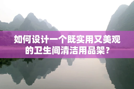 如何设计一个既实用又美观的卫生间清洁用品架？