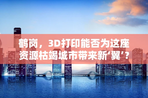 鹤岗，3D打印能否为这座资源枯竭城市带来新‘翼’？
