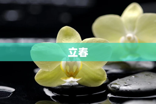 立春