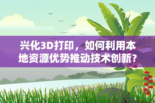 兴化3D打印，如何利用本地资源优势推动技术创新？