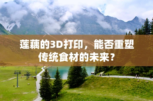莲藕的3D打印，能否重塑传统食材的未来？