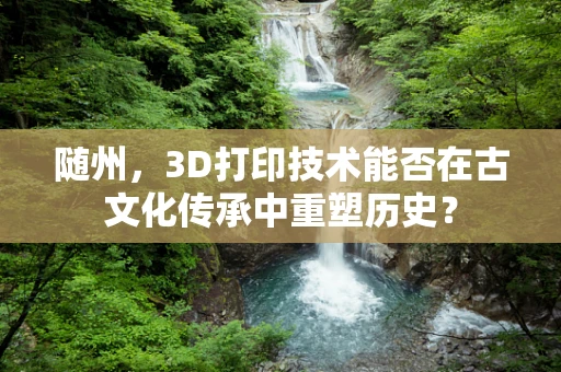 随州，3D打印技术能否在古文化传承中重塑历史？