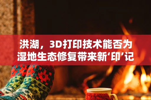 洪湖，3D打印技术能否为湿地生态修复带来新‘印’记？