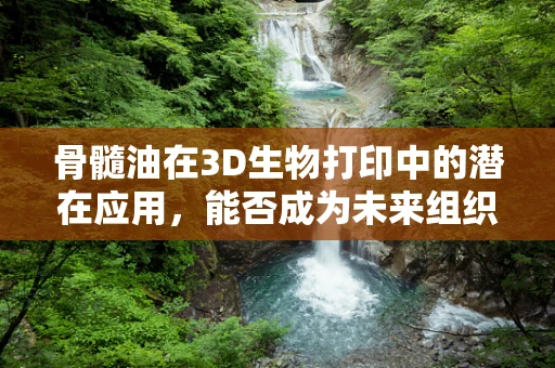 骨髓油在3D生物打印中的潜在应用，能否成为未来组织工程的‘黄金液体’？