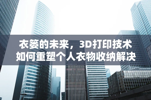 衣篓的未来，3D打印技术如何重塑个人衣物收纳解决方案？