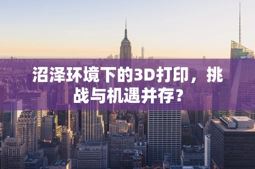 沼泽环境下的3D打印，挑战与机遇并存？