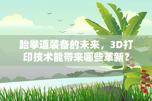 跆拳道装备的未来，3D打印技术能带来哪些革新？