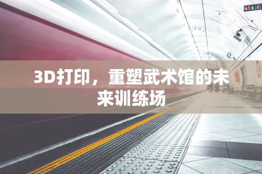 3D打印，重塑武术馆的未来训练场