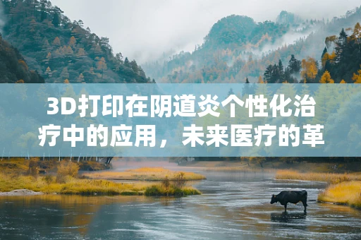3D打印在阴道炎个性化治疗中的应用，未来医疗的革新之路？
