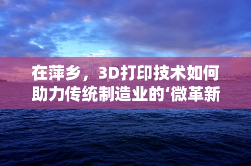 在萍乡，3D打印技术如何助力传统制造业的‘微革新’？