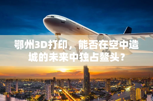 鄂州3D打印，能否在空中造城的未来中独占鳌头？