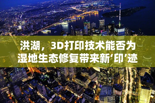 洪湖，3D打印技术能否为湿地生态修复带来新‘印’迹？