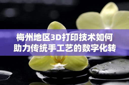 梅州地区3D打印技术如何助力传统手工艺的数字化转型？