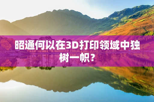 昭通何以在3D打印领域中独树一帜？